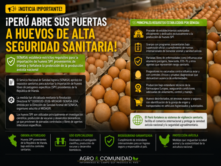 ¡PERÚ ABRE SUS PUERTAS A HUEVOS DE ALTA SEGURIDAD SANITARIA DESDE IRLANDA!